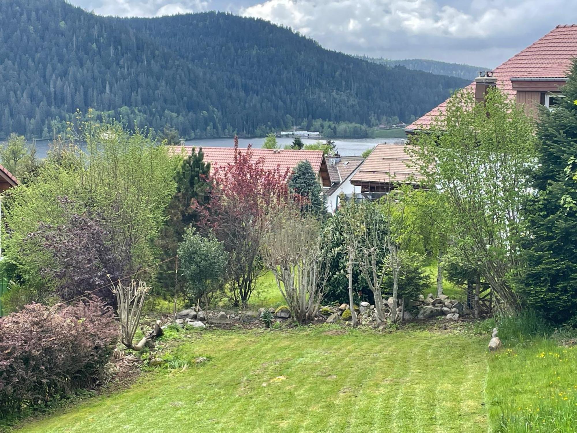 Le Chalet De Juliette Gérardmer Extérieur photo